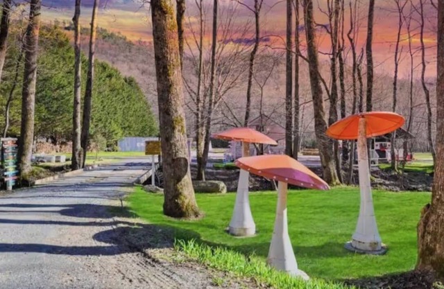Whimsical Sugar Shack in Blue Ridge with Stream, Lollipop Garden & Petting Zoo