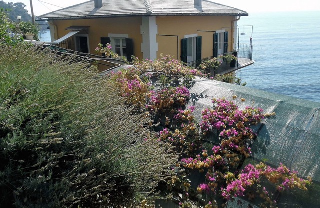 Maravillosa casa con jardín privado inmerso en el parque de Portofino.