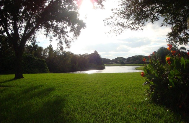 ¡GUAU - como alojarse en un parque: frente al lago hermoso, piscina privada climatizada en Tampa!