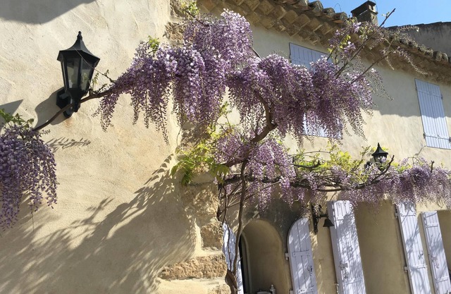 Casa amarilla en la Provenza