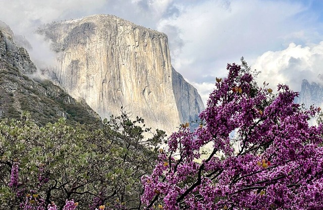 Gran casa de vacaciones, antiguo B&B, dentro de Yosemite