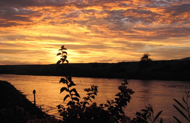 Tu propio muelle en el río Colorado