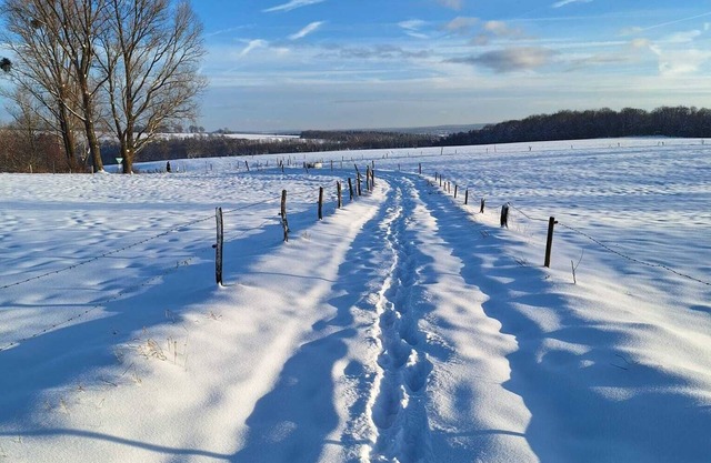 Your time out in the Eifel National Park... Experience nature