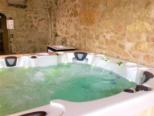 Les Essards Casa | Élégante Demeure 17e avec Spa, Sauna et Authentique Cheminée, proche Châteaux de la Loire - FR-1-381-348