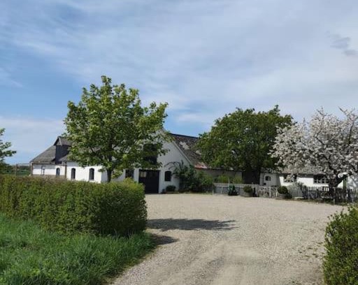 Ystad Casa | Öja