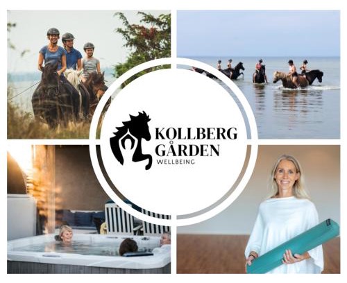 Stora Fro Cama Y Desayuno | Ölands Yoga Studio & Islandshästar, Stugor & Rum