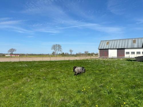 Onslunda Apartamento | Österlen Oasis