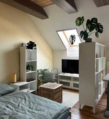 Kezmarok Apartamento | Útulný apartmán v centre Kežmarku
