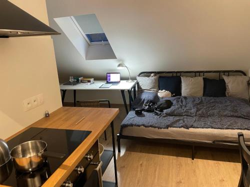 Zernovka Apartamento | Útulný podkrovní ateliér se zahradou