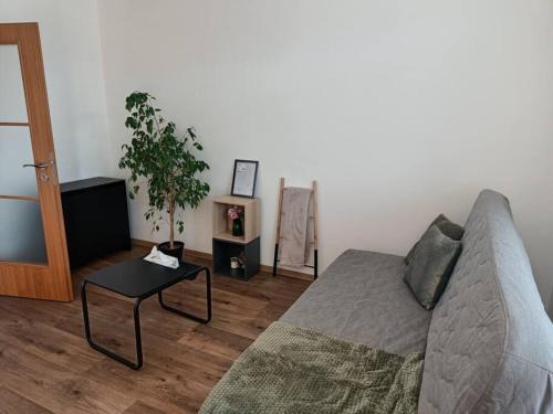Kunovice Apartamento | Červená cesta