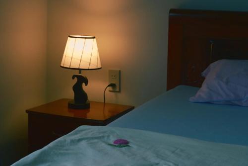 Lam Ha Casa | Đông Lưu Homestay