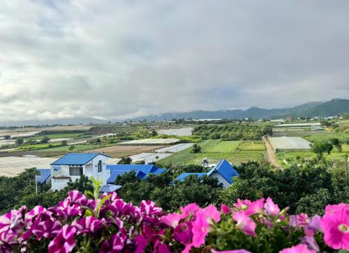 Don Duong Casa | Điểm cộng đồng du lịch nông nghiệp nông thôn Avocado Farm