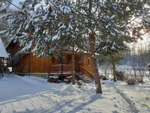 gmina Brzostek Casa | Świerkowe Rancho