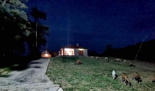 Mladenovac Casa | Šumadijska panorama