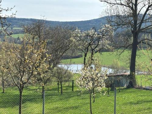 Strasice Apartamento | Šumava apartmán U Kočiček