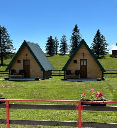 Zabljak Chalet De Esquí | Šumski raj