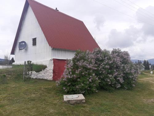 Zabljak Casa | Žabljak izdavanje kuce