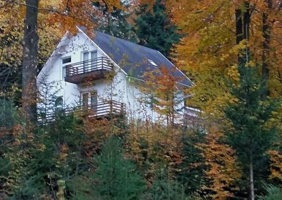 Sucevita Complejo | Șoaptele pădurii & Căsuța din pădure