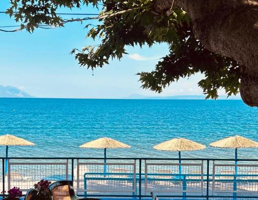 Ilia Casa | Αγκυροβόλιο