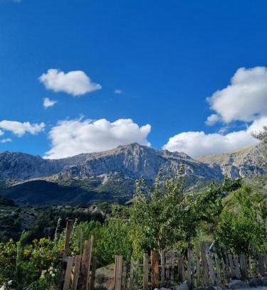 Distomo-Arachova-Antikyra Casa | Αγροτικό σπίτι agrikia Δύο υπνοδωματιων