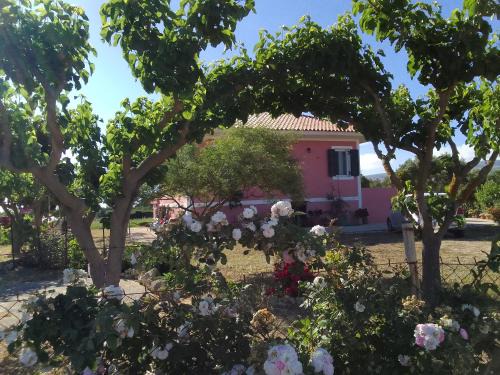 Kounopetra Casa | Μπλε του Ιονίου Ionian Blue