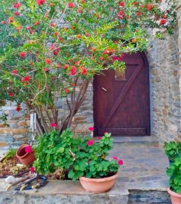 Agios Ioannis Apartamento | Πέτρινο