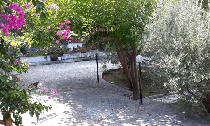 Aria Apartamento | Σπίτι σε ελαιώνα, house in an olive grove