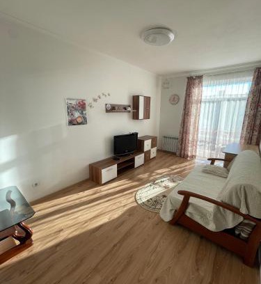 Truskavets Apartamento | Апартаменти з балконом студія без окремої спальні