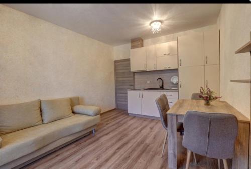 Shkorpilovtsi Apartamento | Апартамент Ани