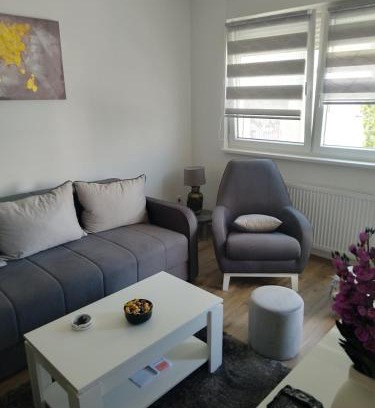 Banja Koviljaca Apartamento | Апартман Љесковац