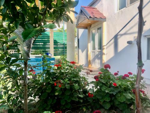 Baku Apartamento | Баку приморский поселок Бузовна