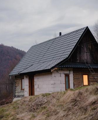Nyzhnje Selyshche Apartamento | Будиночок у лісі - Бовцар