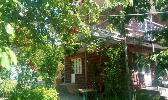 Agoy Casa | Вино кино