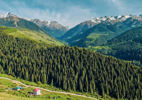 Issyk-Kul Region Casa | Горный дом ЛЕС и ГОРЫ Dinarsky