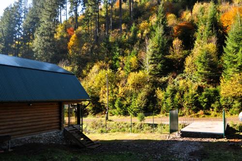 Soymy Chalet De Esquí | Гостьовий дім Секвойя