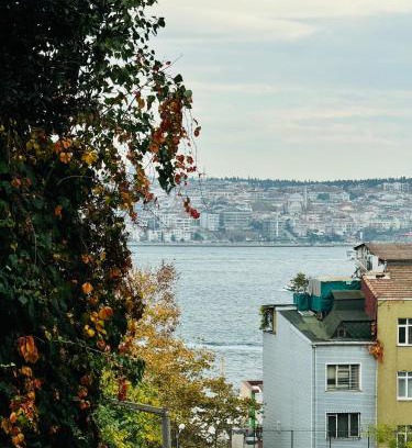 Kabatas Apartamento | Дуплекс с видом на Босфор