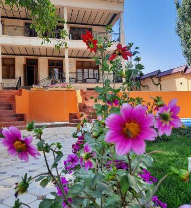 Uzbekistan Casa | Зона отдых APACHI в горах ЧИМГАН