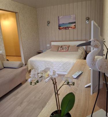 Lenins'kyi district Apartamento | Квартира Центр