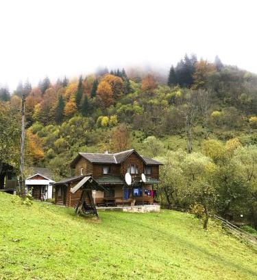Snidavka Apartamento | Котедж Ксенія