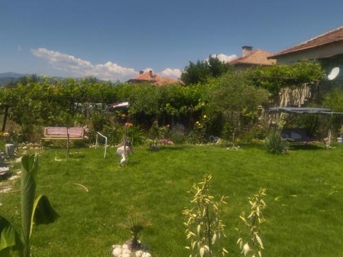 Harsovo Casa | Къща за гости ИЛТА
