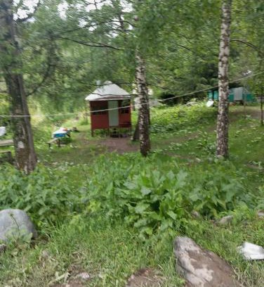Osh Region Casa | Лесхоз