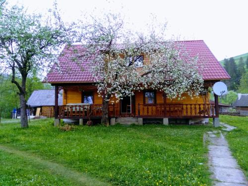 Pilipets Apartamento | Садиба Трембіта