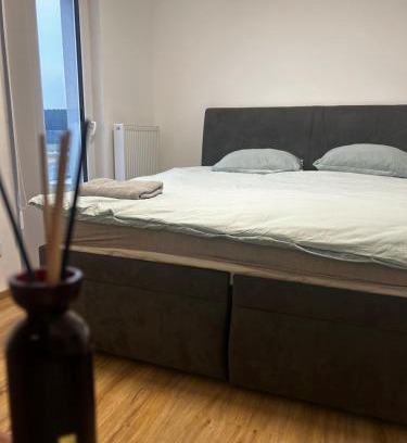 Zbuch Apartamento | Сучасні номера біля Плзня