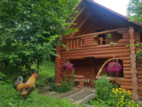 Soymy Casa | У Медовому Раю