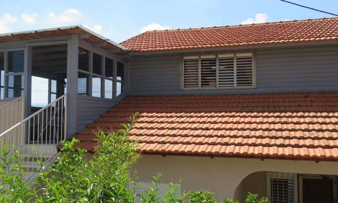 Shlomi Casa | בין יער לים