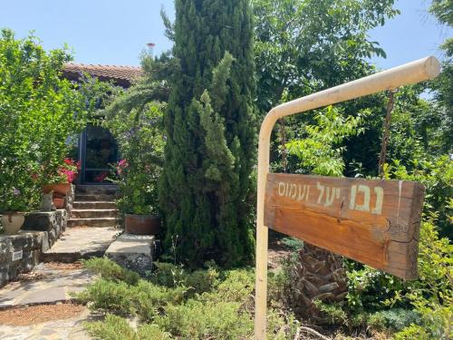 Sha'al Casa | חצר ברמה