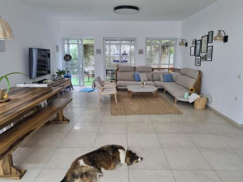 Hod HaSharon Apartamento | כמו וילה במרכז השרון