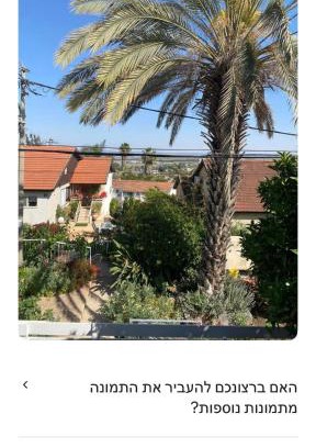 Hazor Haglilit Casa | צל האורנים