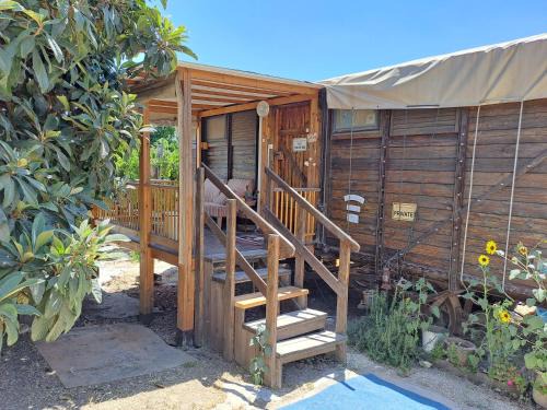 Tabash Cama Y Desayuno | שבט אחים - Galilee Bedouin Camplodge - חווית אירוח ייחודית בטבאש