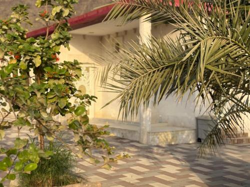 Ras Al Khaimah Casa | استراحة الأنغام